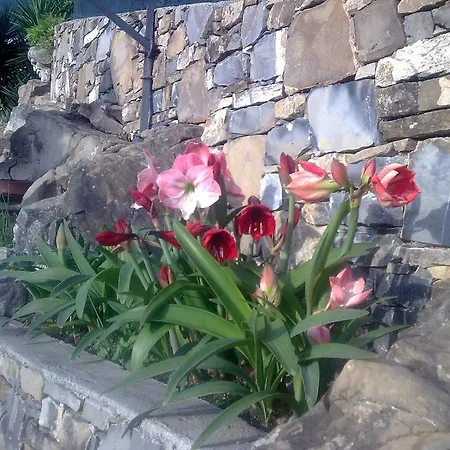 Miramare 3* دْيانو مارينا