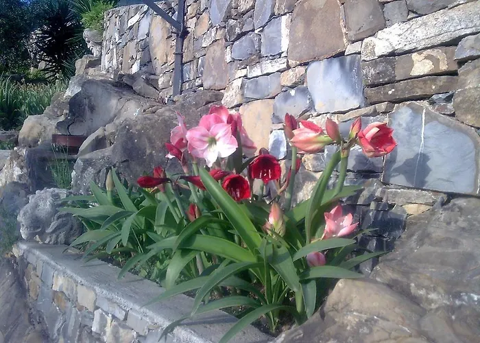 Miramare 3* Diano Marina